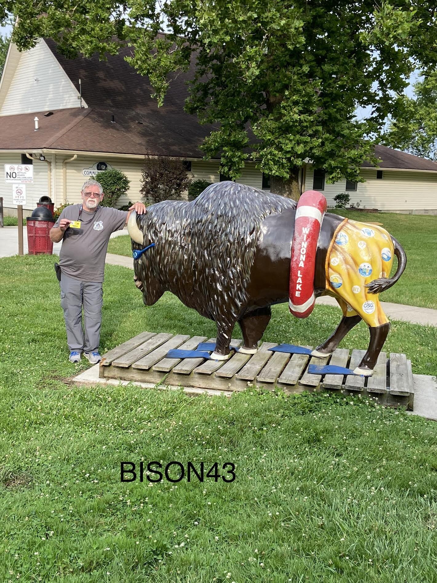 bison43.jpg
