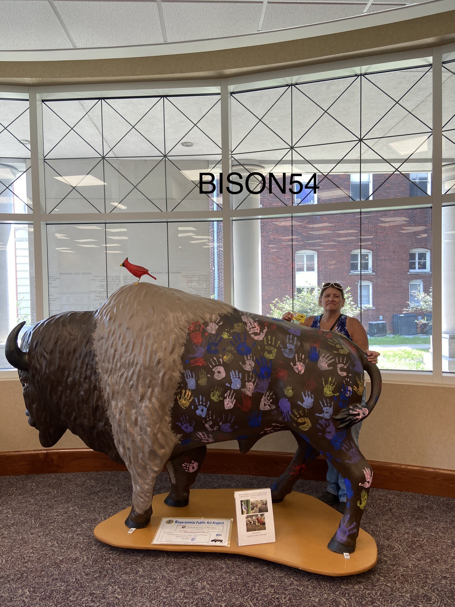 bison54b.jpg
