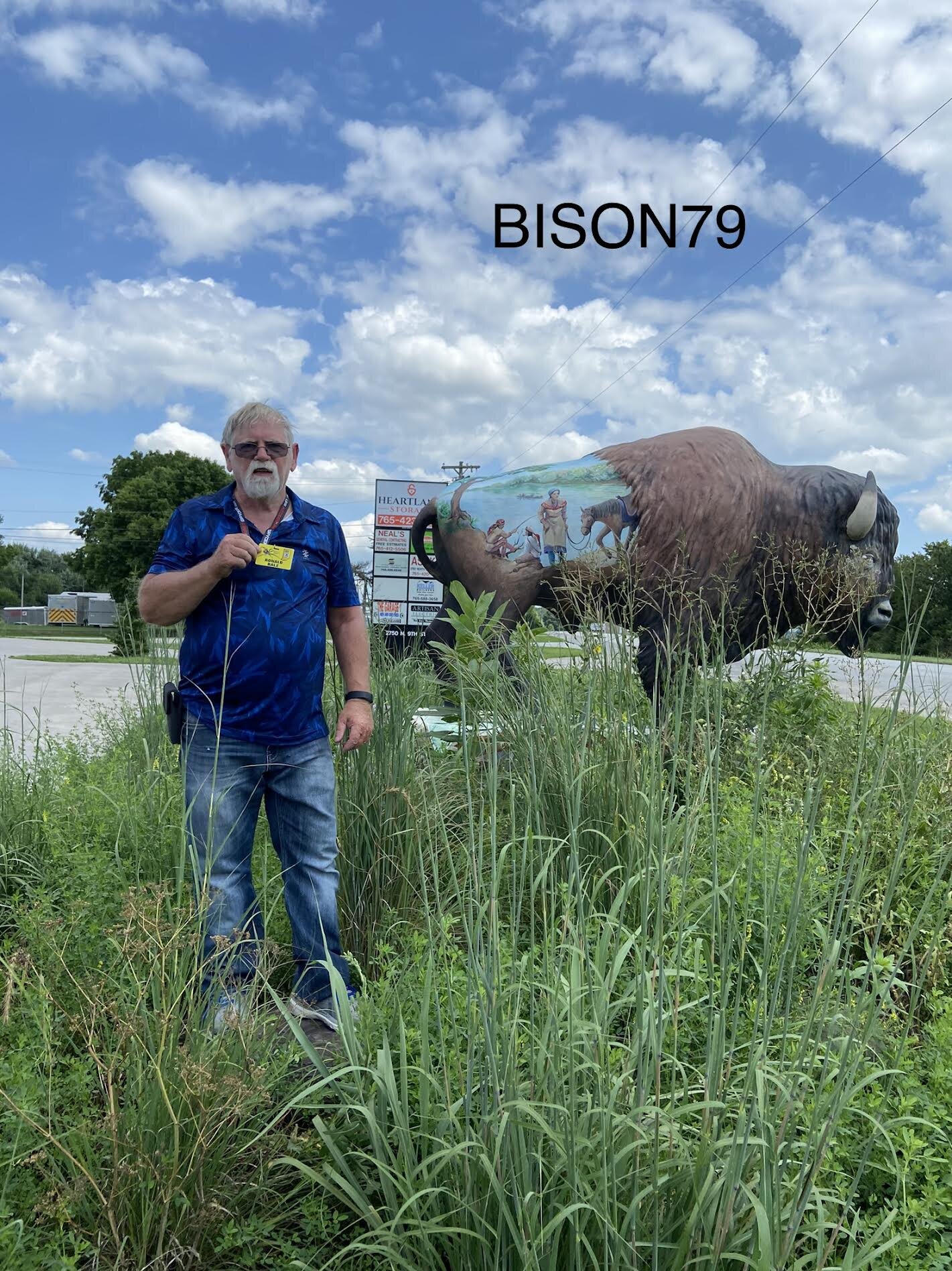 bison79.jpg