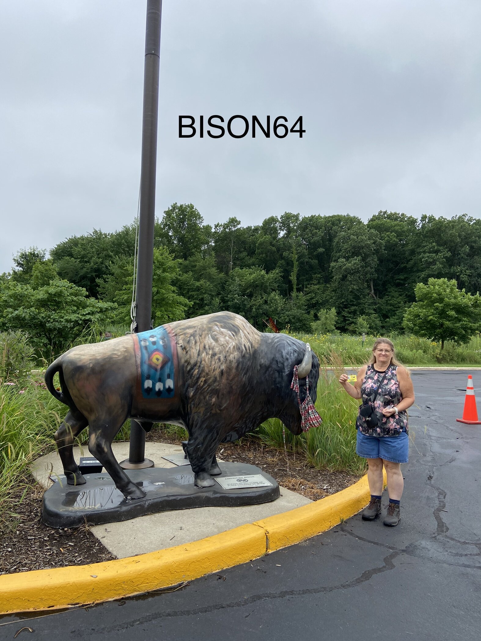 bison64b.jpg