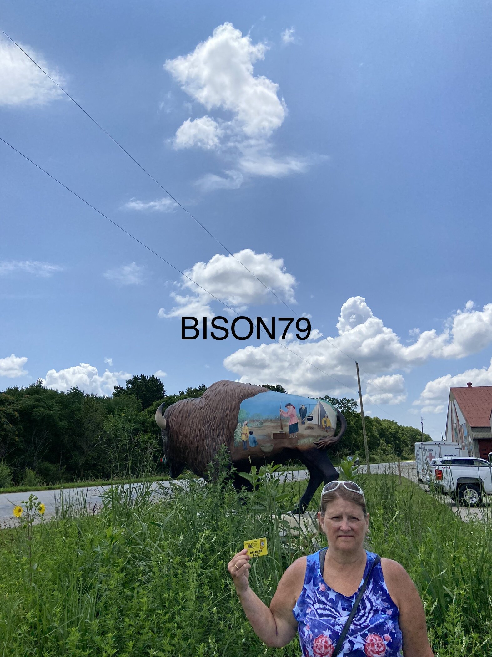 bison79b.jpg
