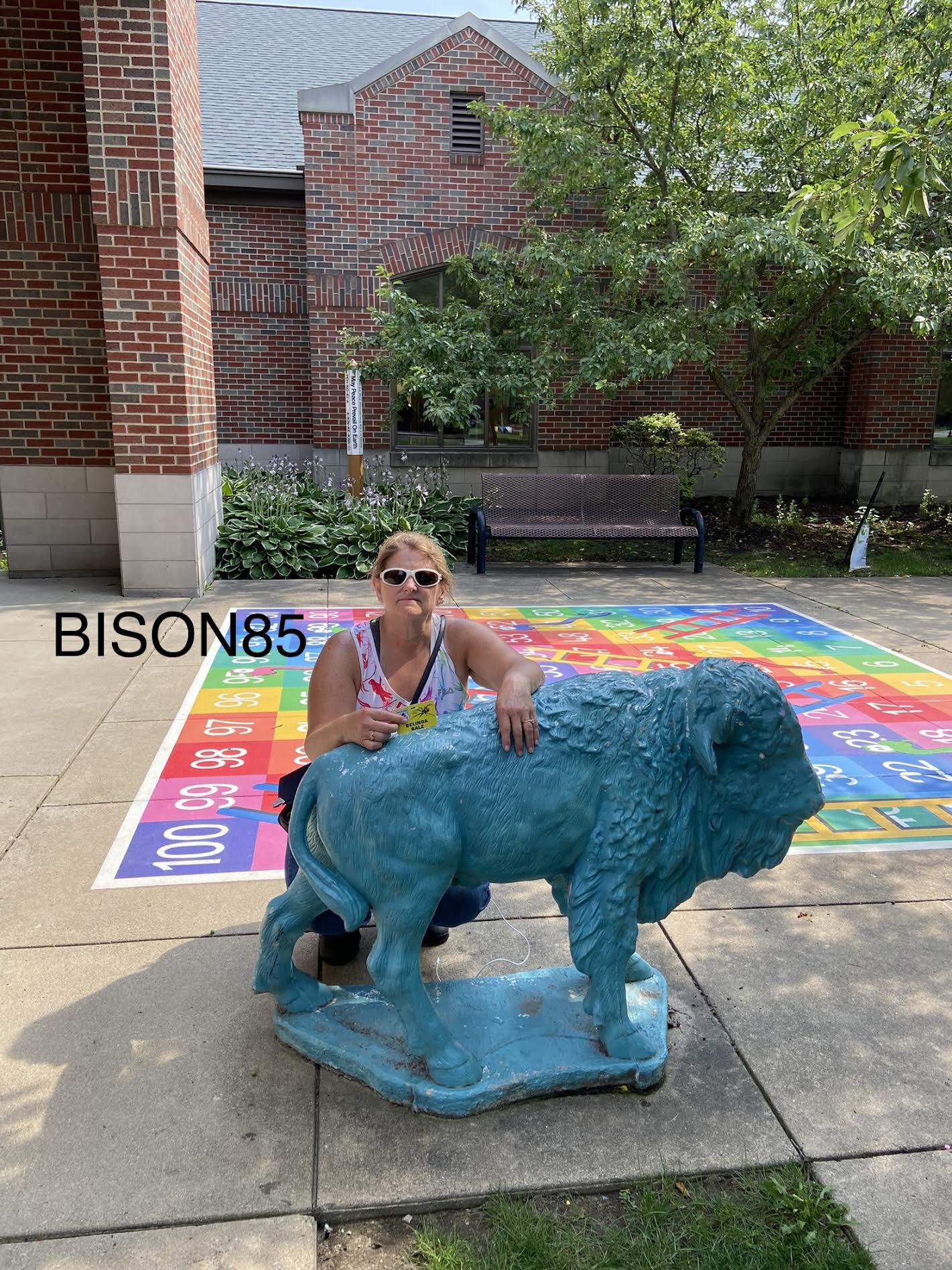 bison85b.jpg