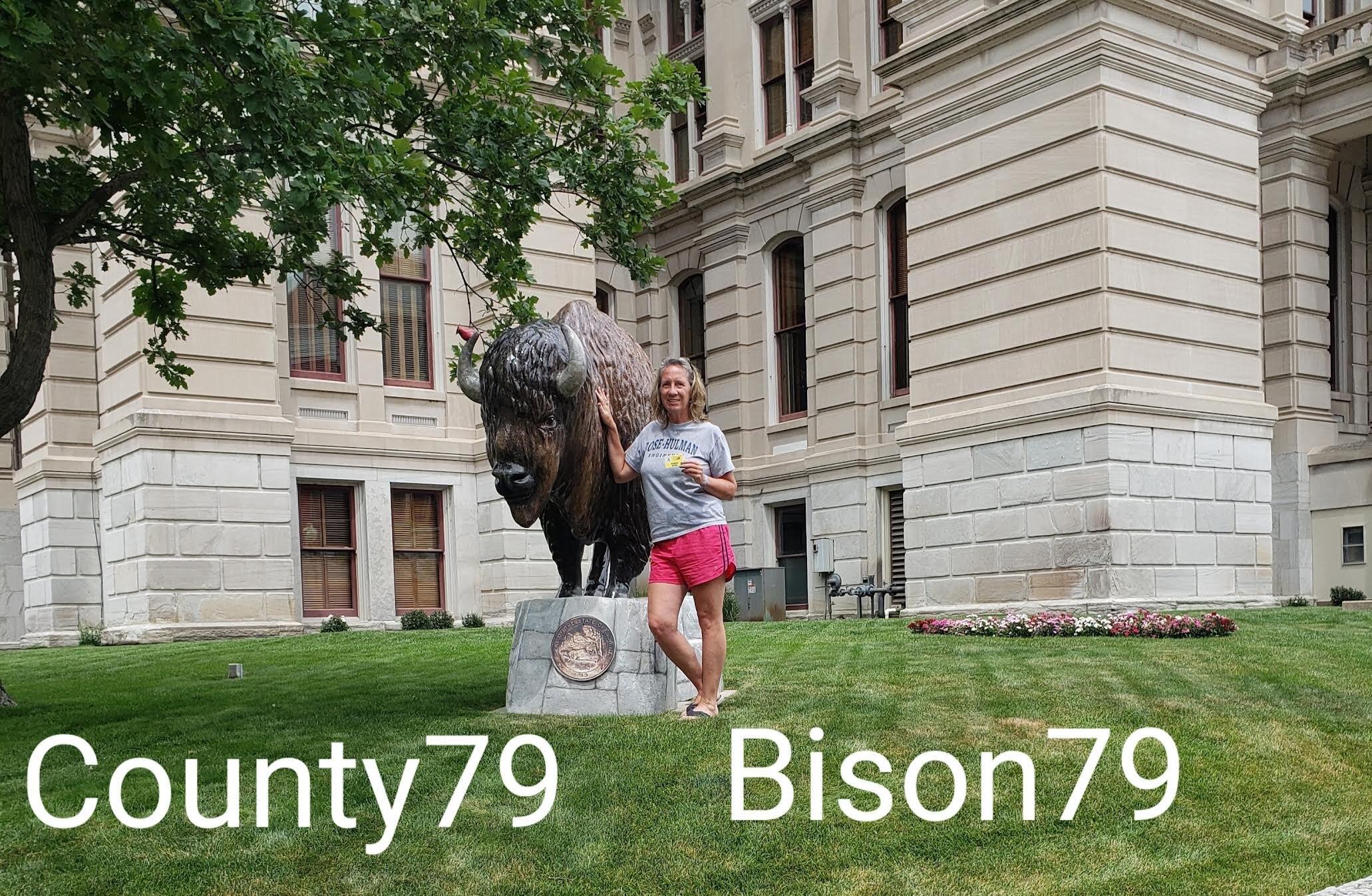 bison79-county79.jpg