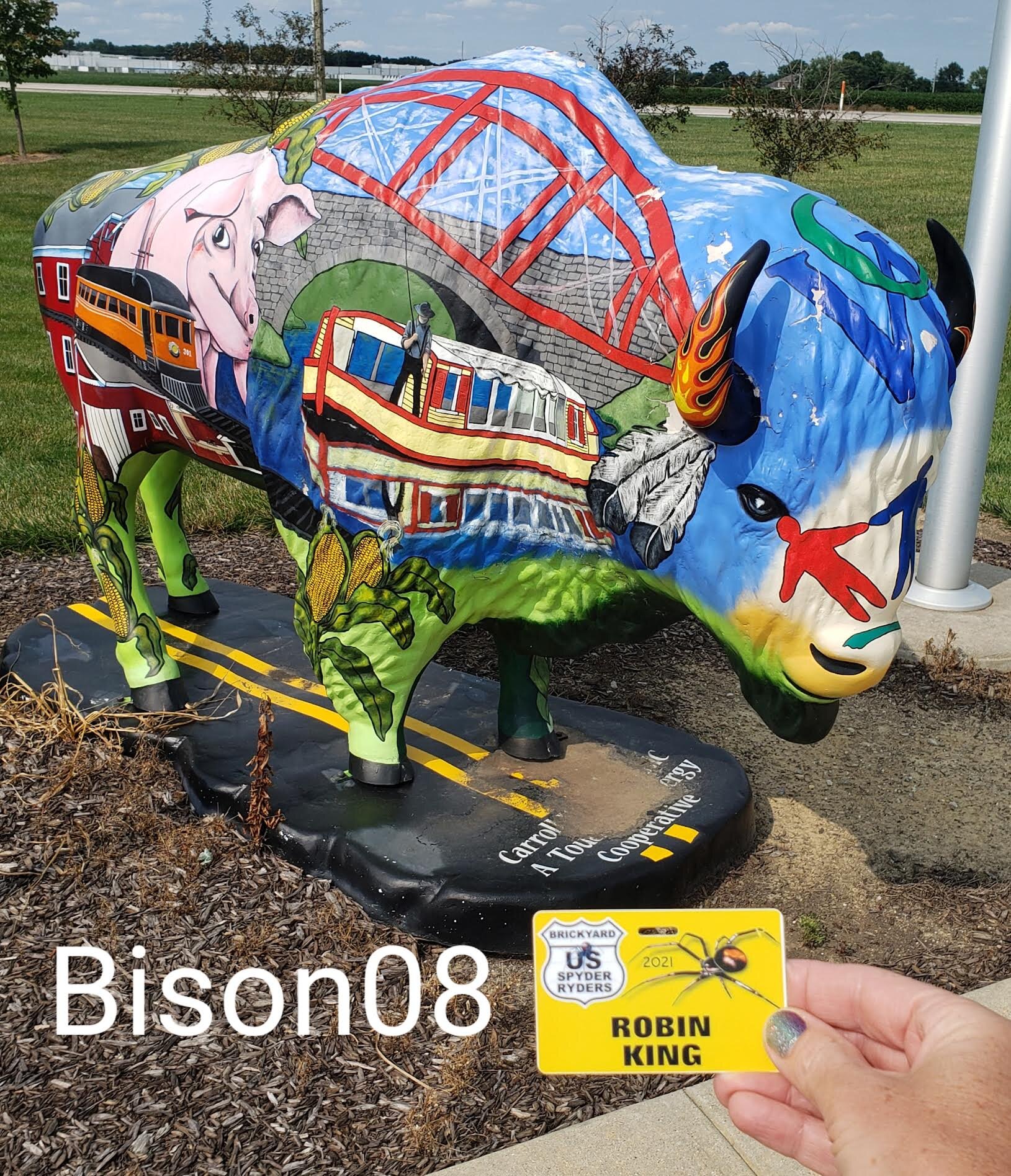 bison08.jpg
