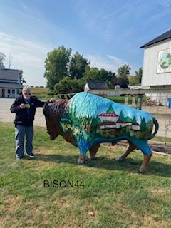 bison44r.jpg