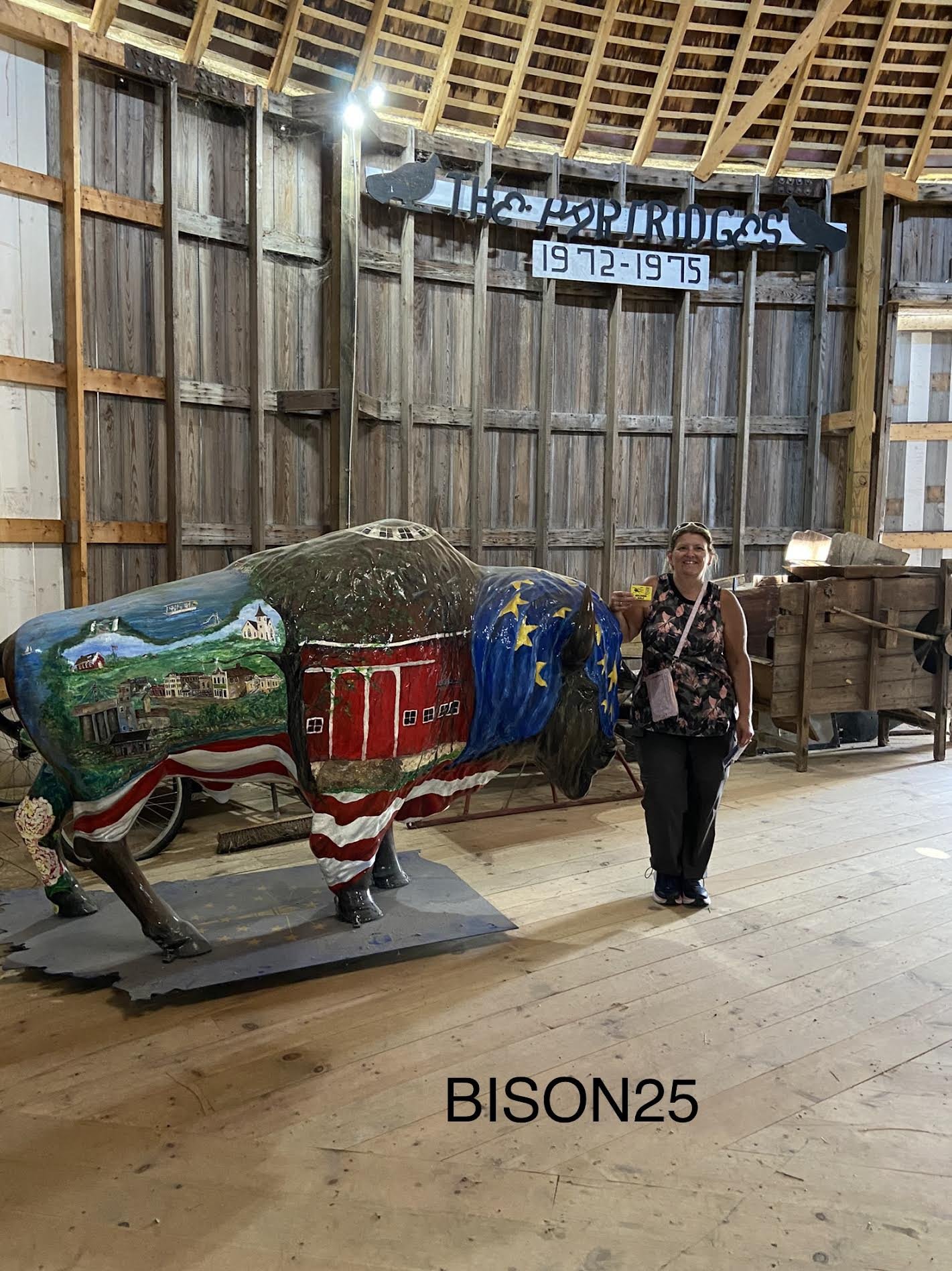 bison25b.jpg