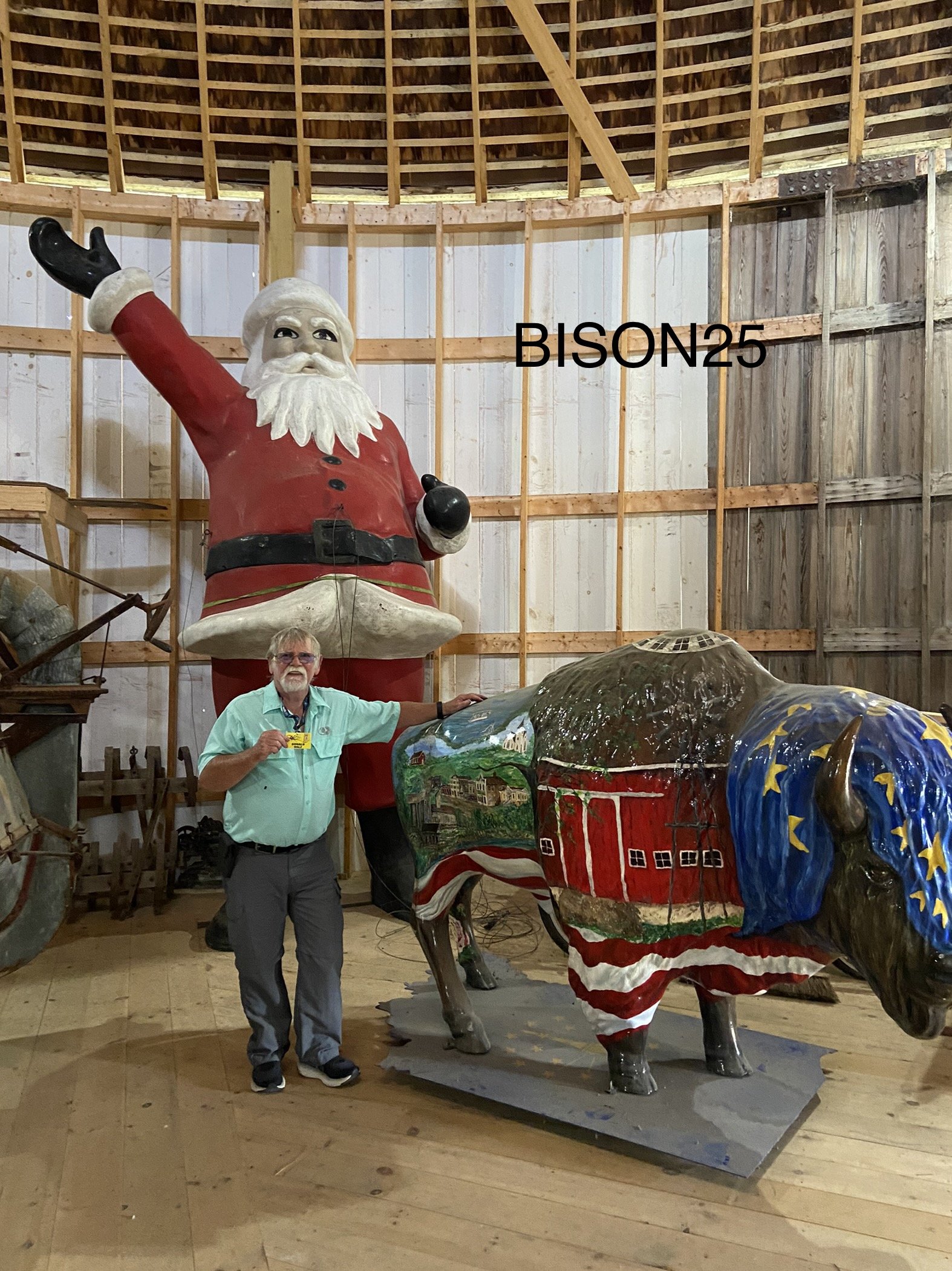 bison25r.jpeg