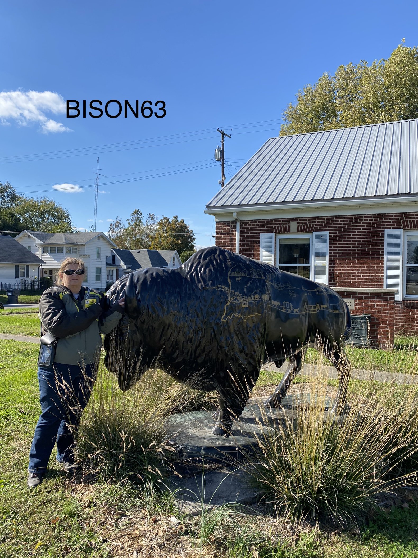 bison63b.jpeg