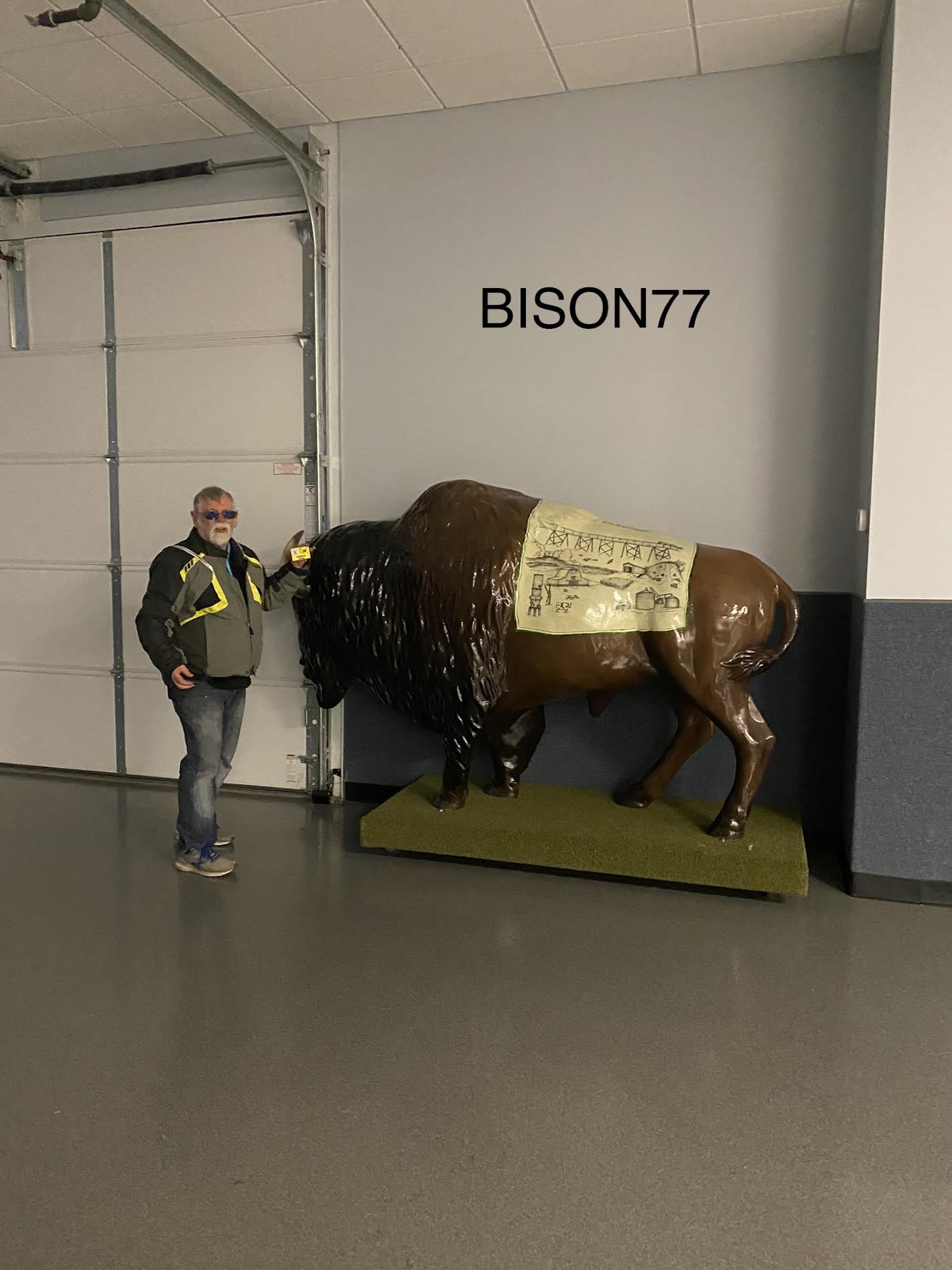 bison77r.jpg