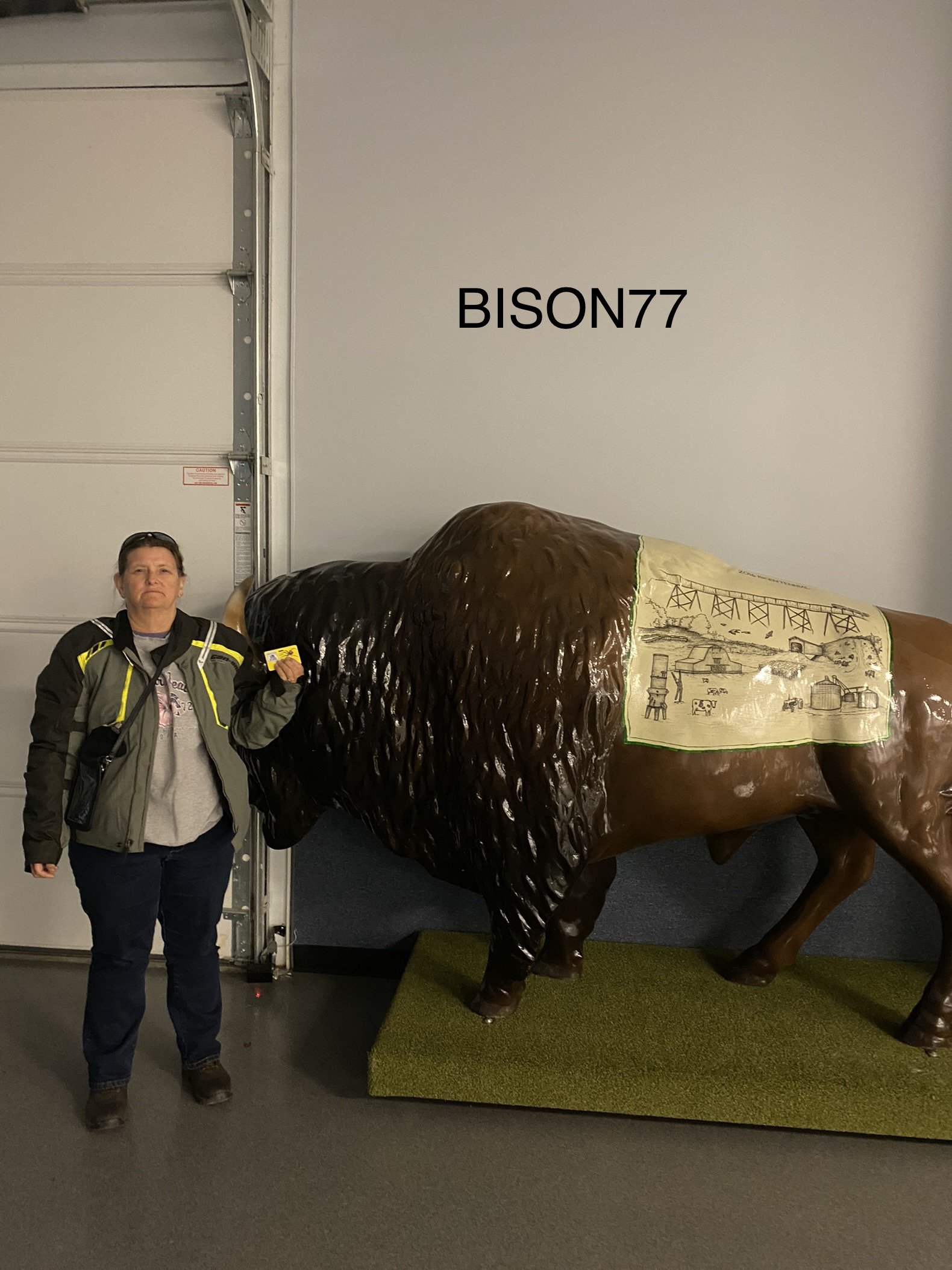bison77b.jpeg