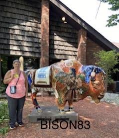 bison83b.jpg