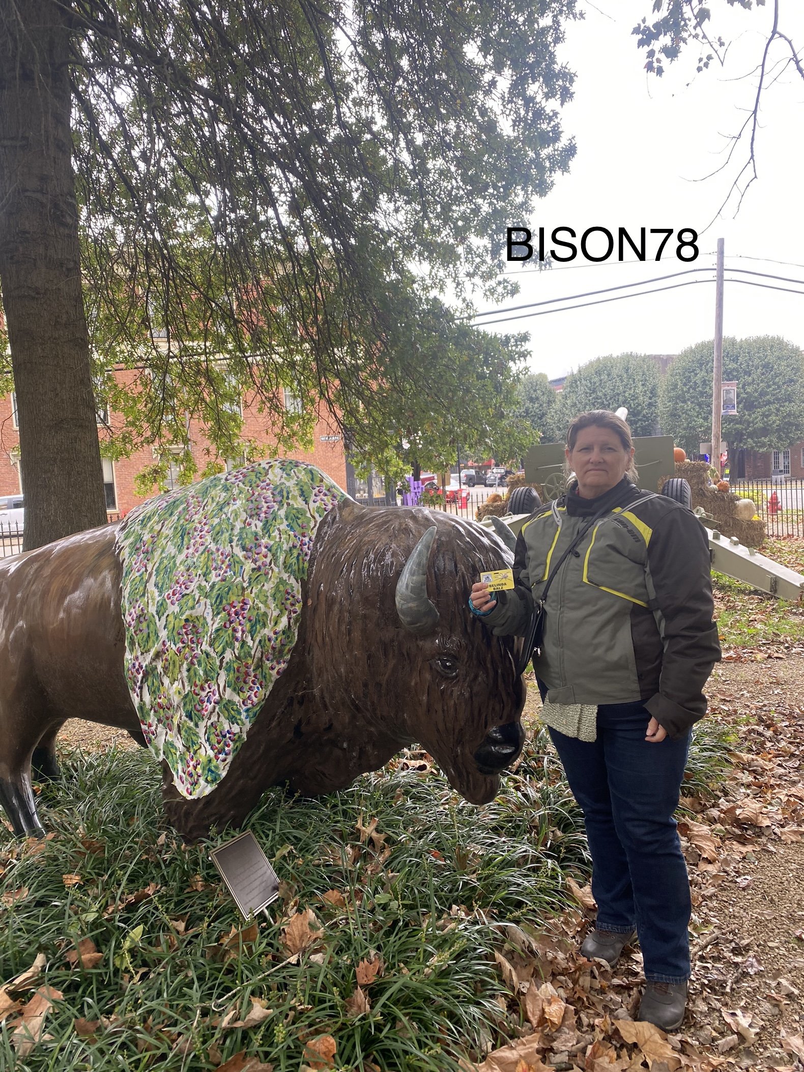bison78b.jpeg
