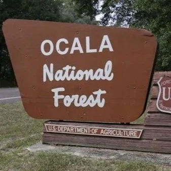 Back To Nature Ryde!  Ocala National Forest Loop