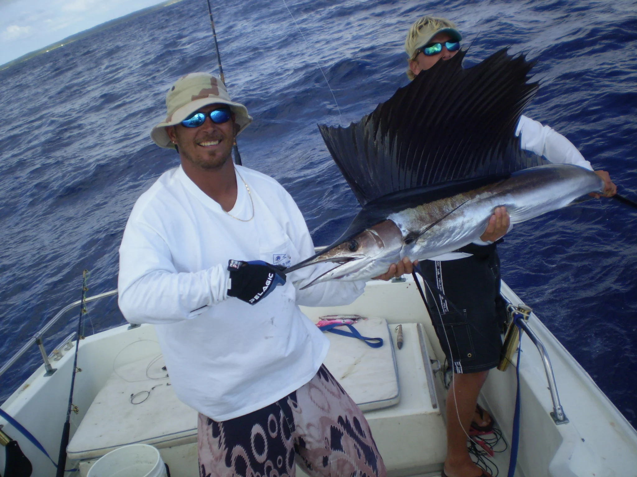 Teal Billfish 3.jpg