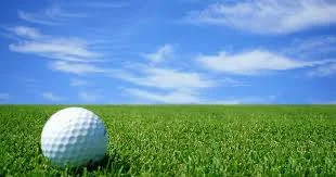 Sheriff John Tharp's Annual Golf Outing