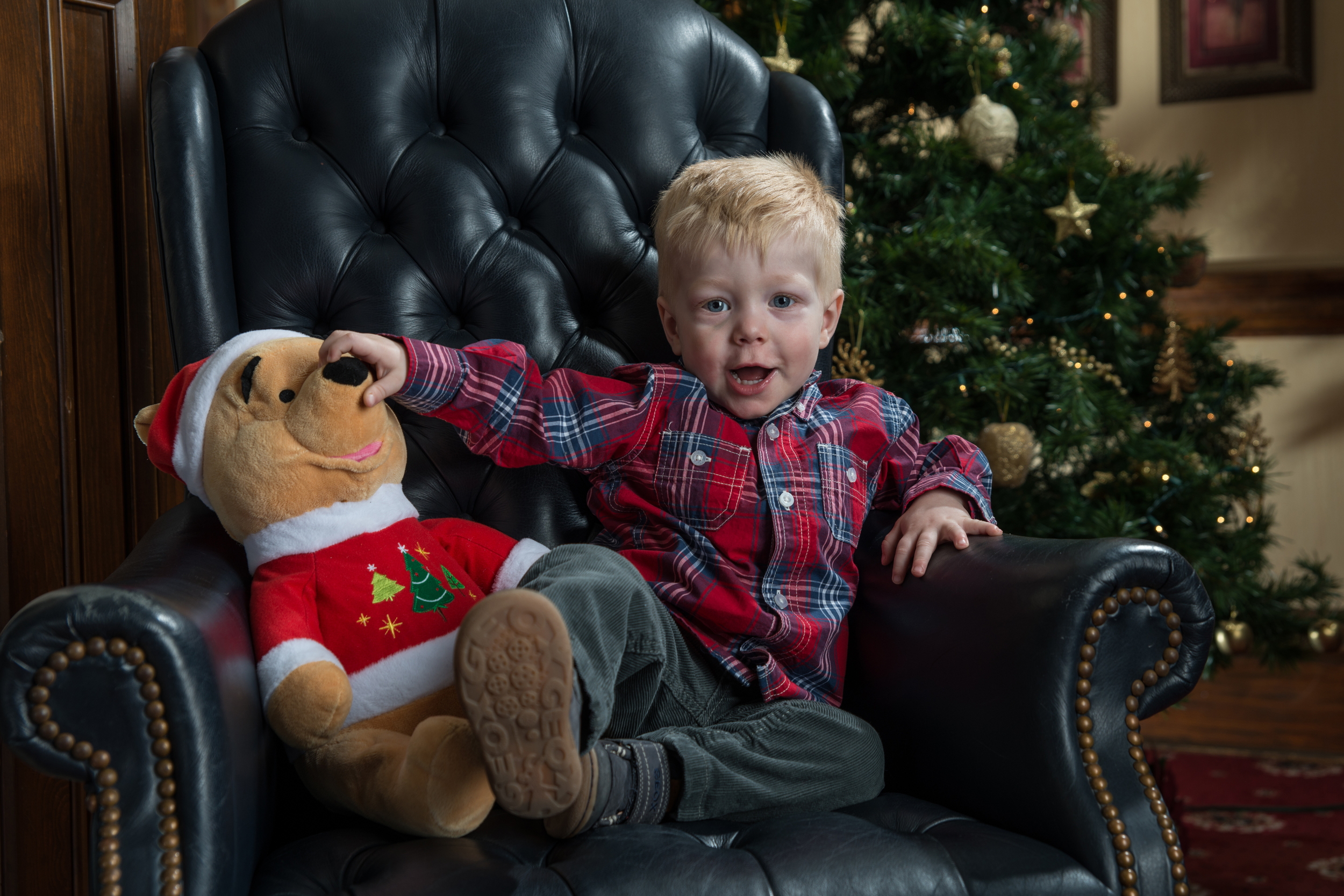 Scotia McLeod Family Christmas sitting 1