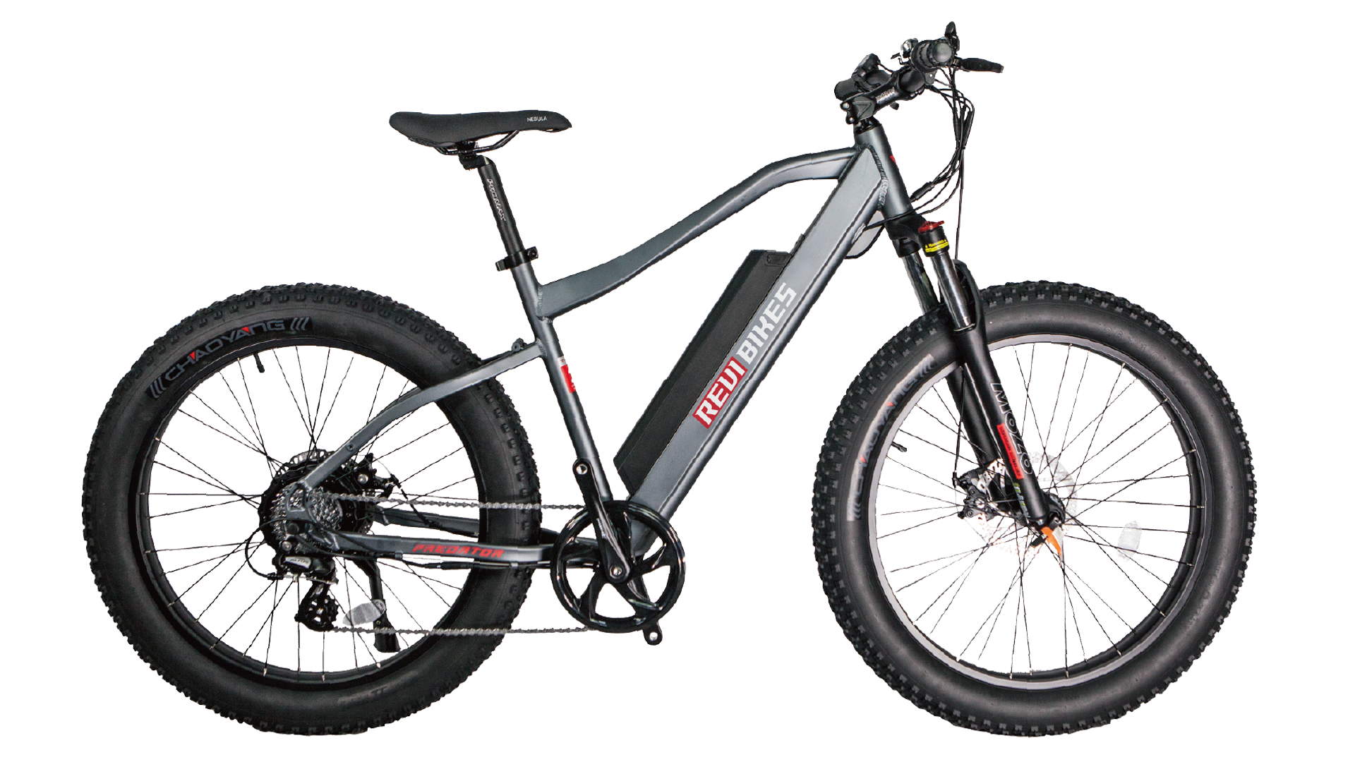 big cat mountain bike