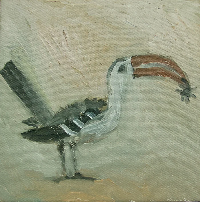 Hornbill.jpg