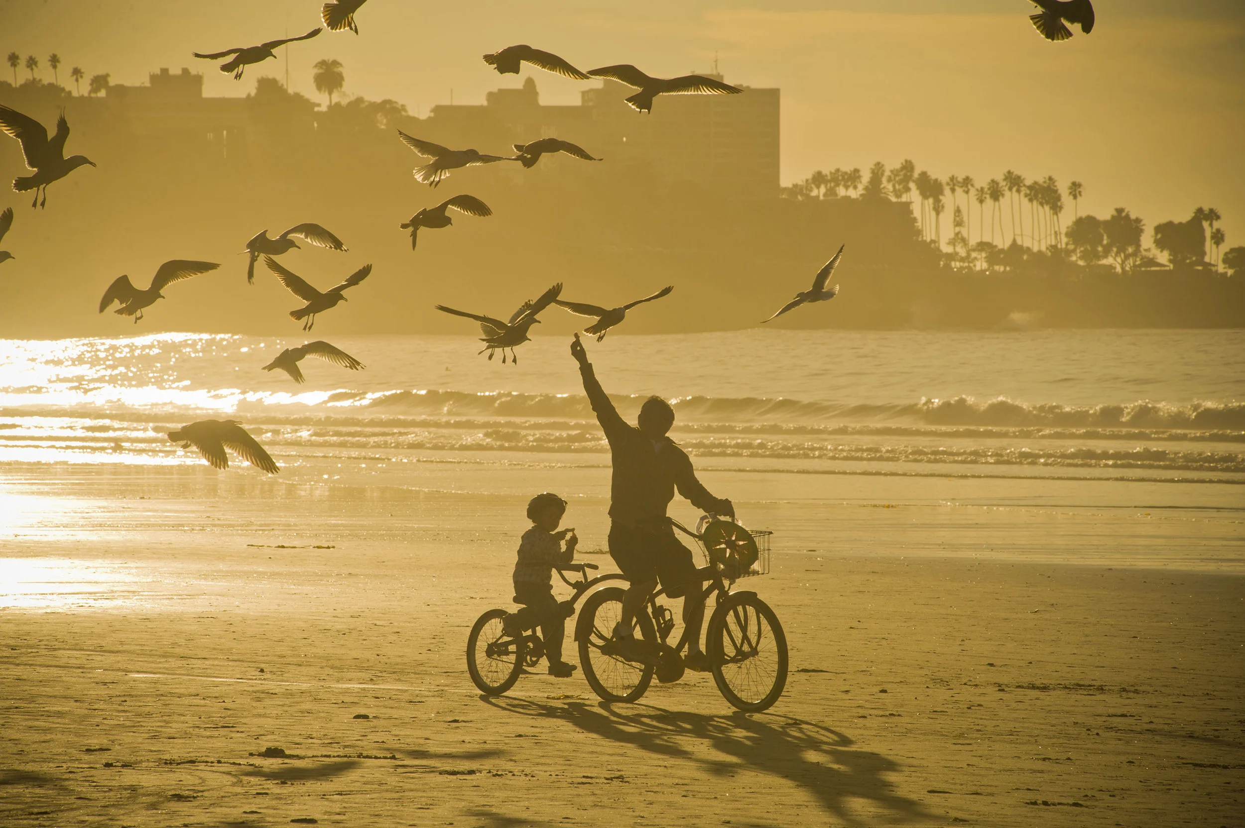 1106_LaJolla.jpg
