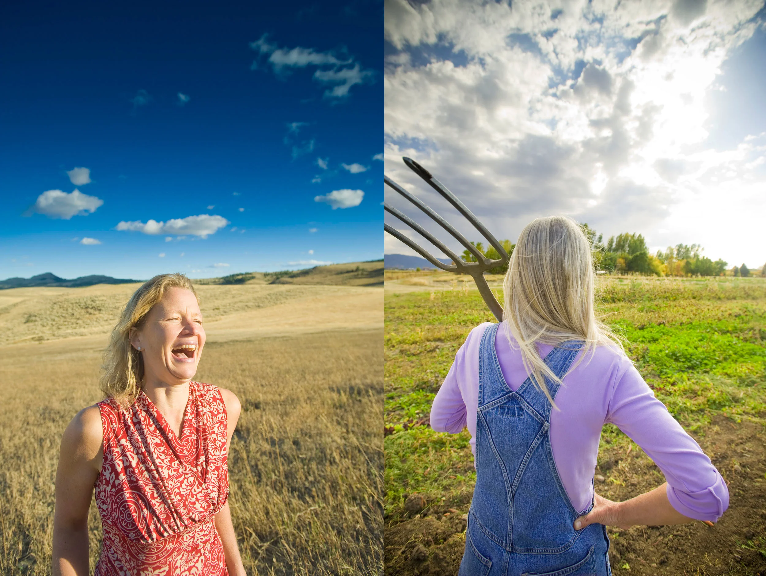 7028_Montana1.jpg