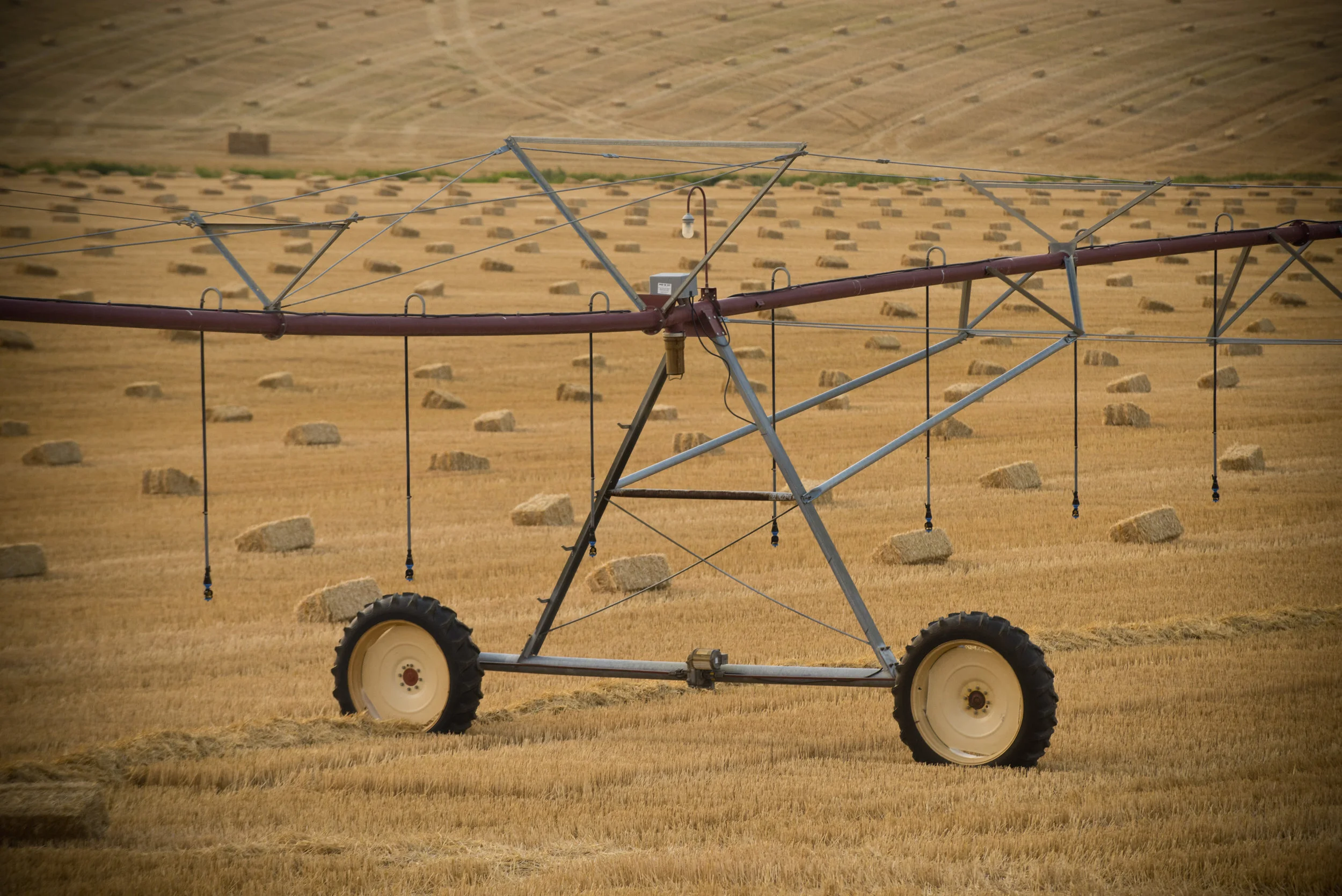 7066_Montana2.0.jpg