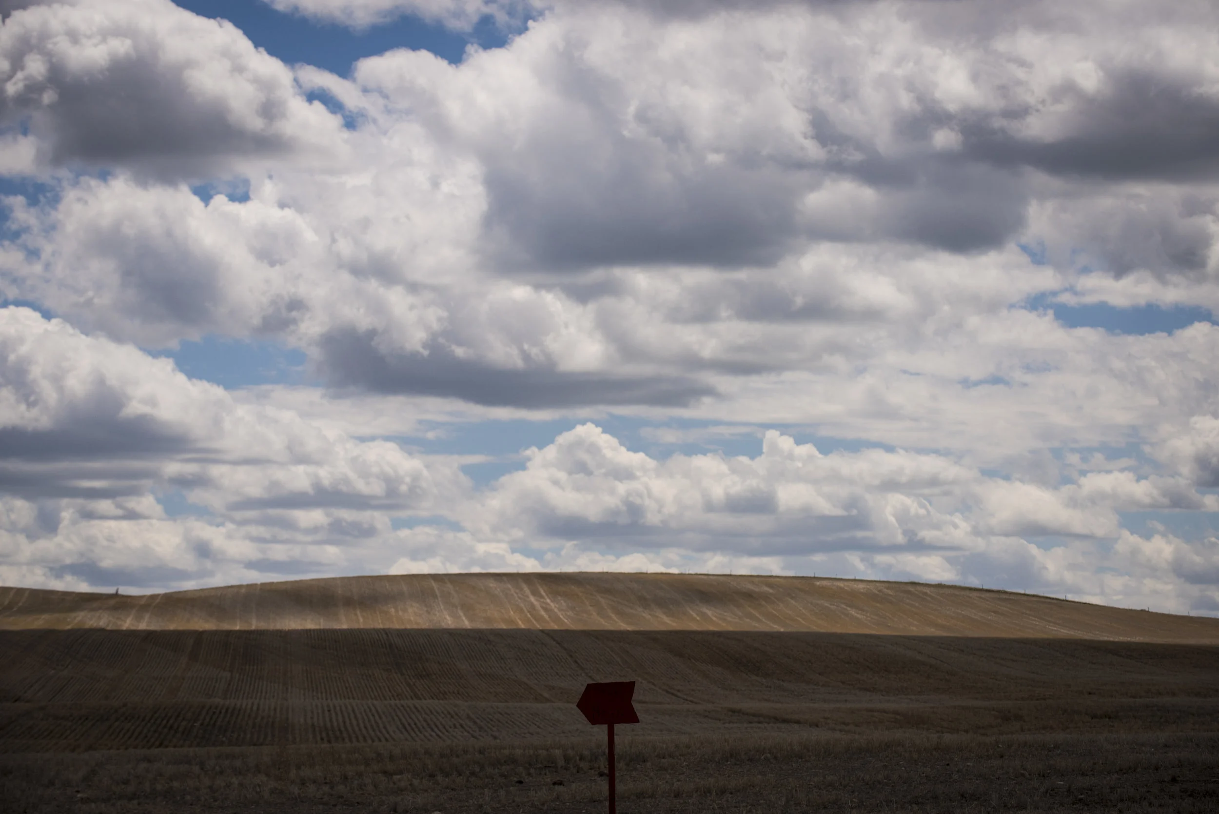 7072_Montana2.0.jpg