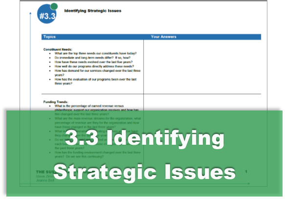 3.3 Identifying Strategic Issues