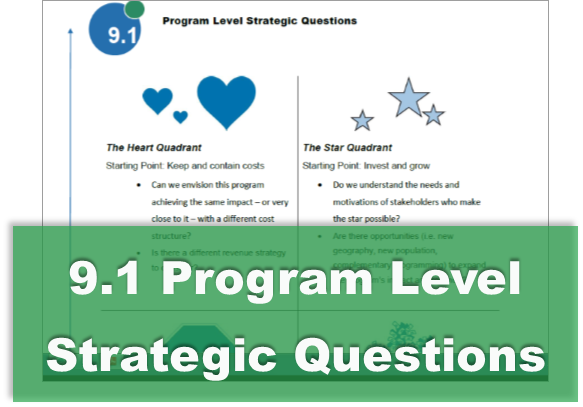 9.1 Program Level Strategic Questions