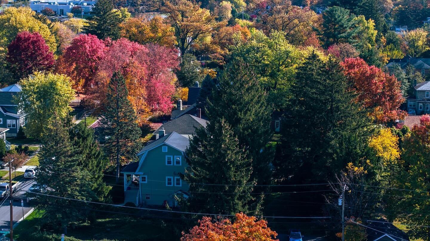 Beautiful fall colors in the neighborhood!!!!