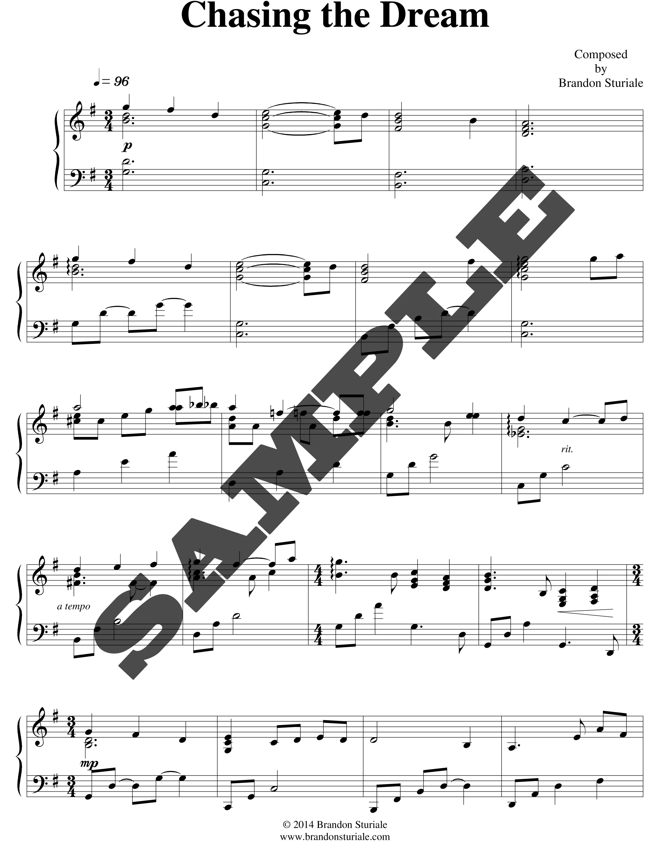 Chasing the Dream sample.jpg