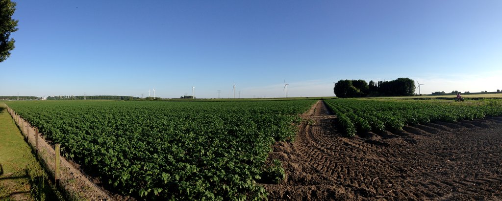 Farm land in Bergen op Zoom 