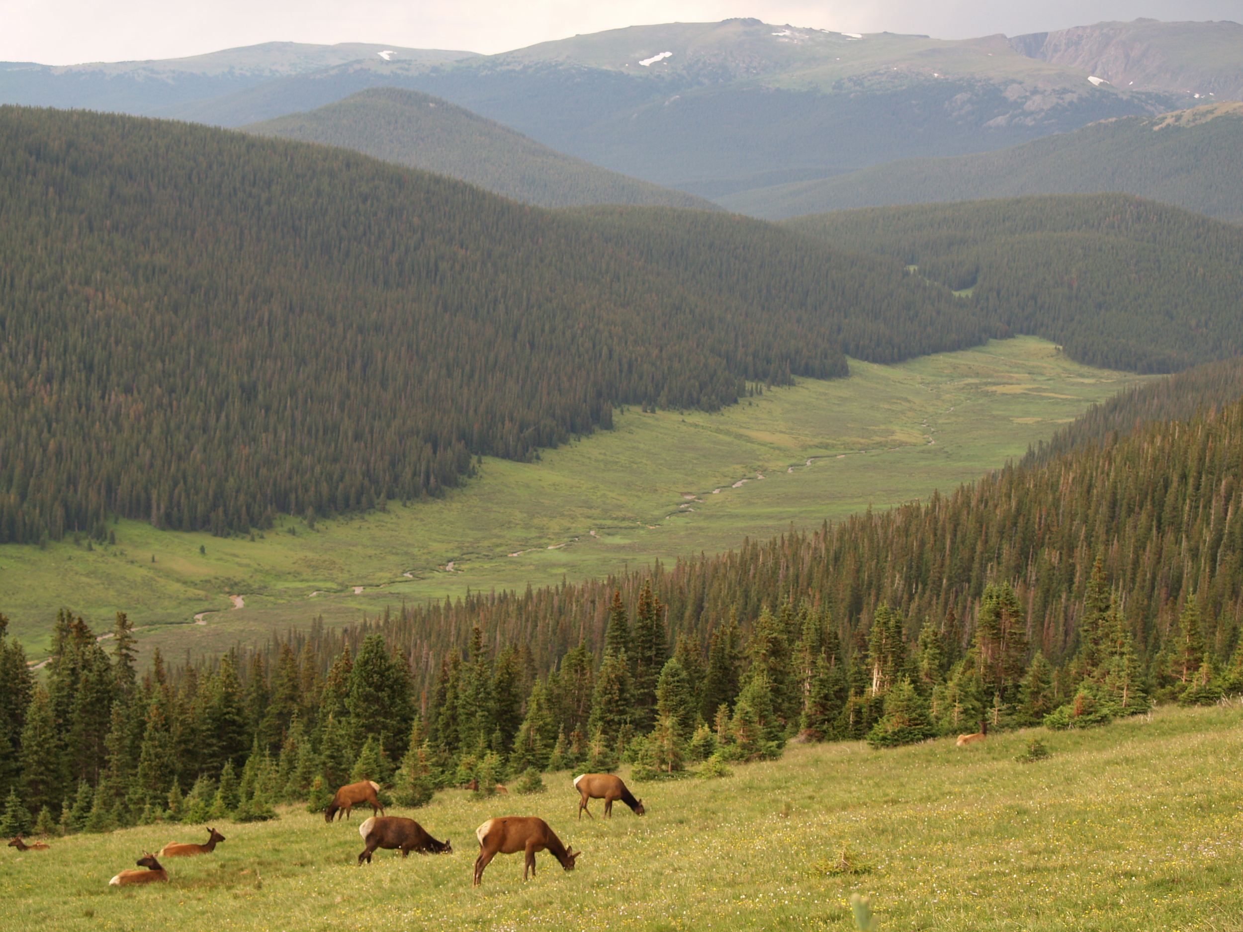 Colorado