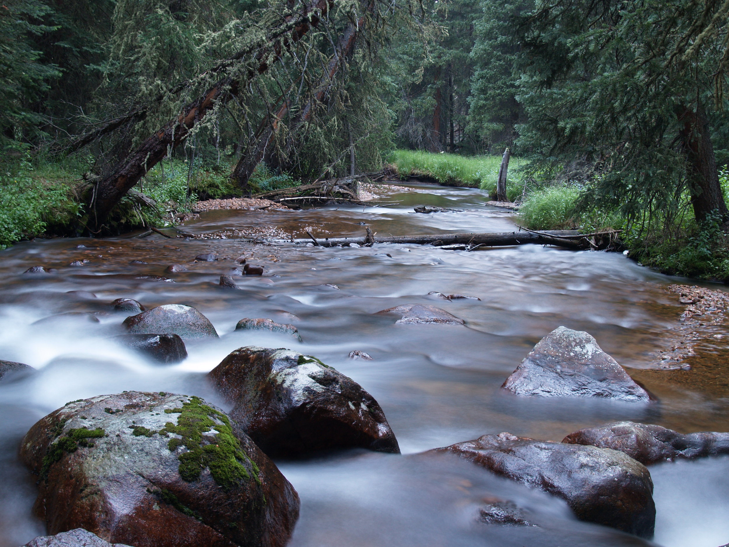 Colorado