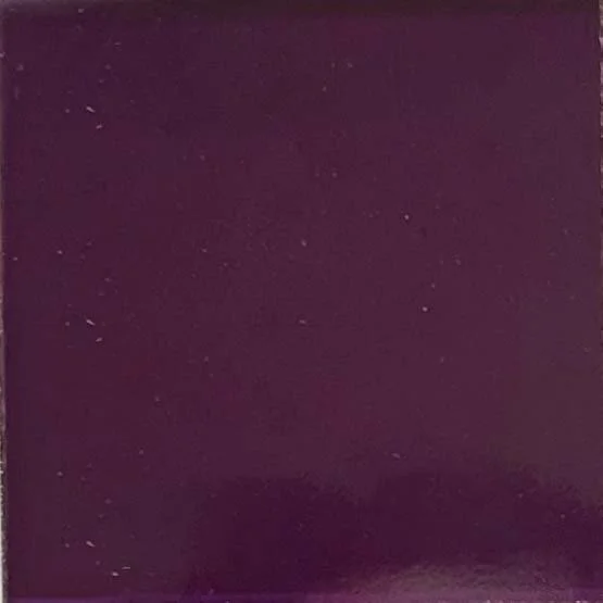 DARK PLUM.jpg