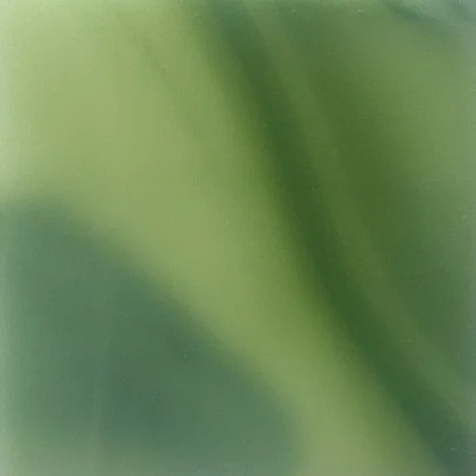 PALAZZO GREEN VARIATION