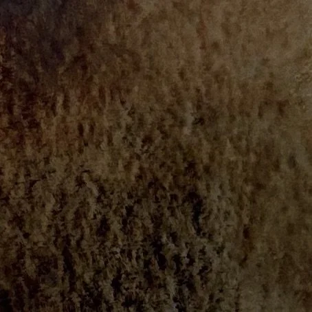 BLACK IRIDESCENT GOLD.jpg