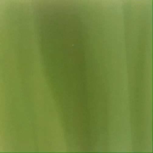 SOLID CHARTREUSE VARIATION