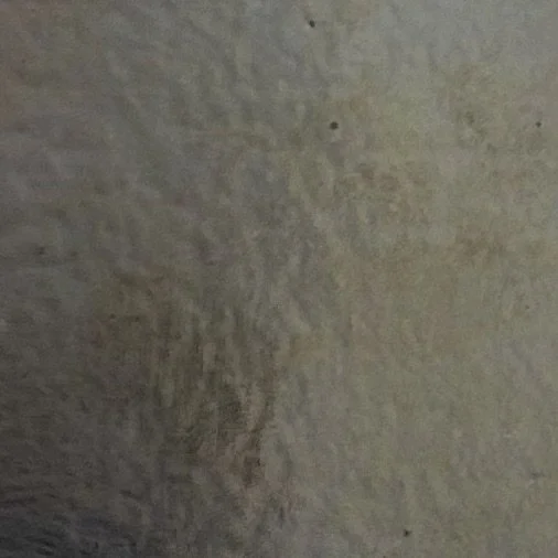 BLACK IRIDESCENT SILVER.jpg