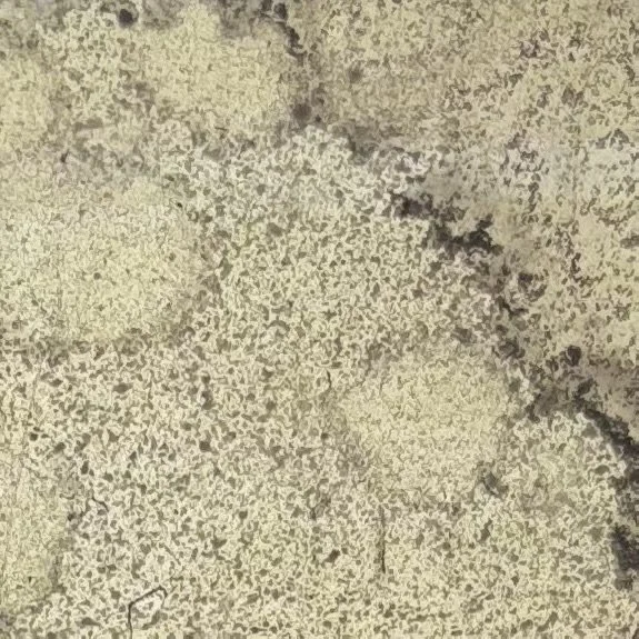 ANTIQUE SILVER SHINE