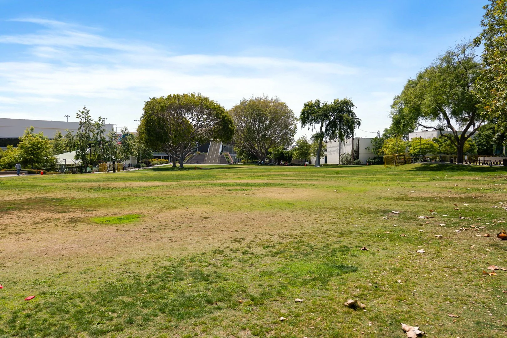 DSC07162.jpg