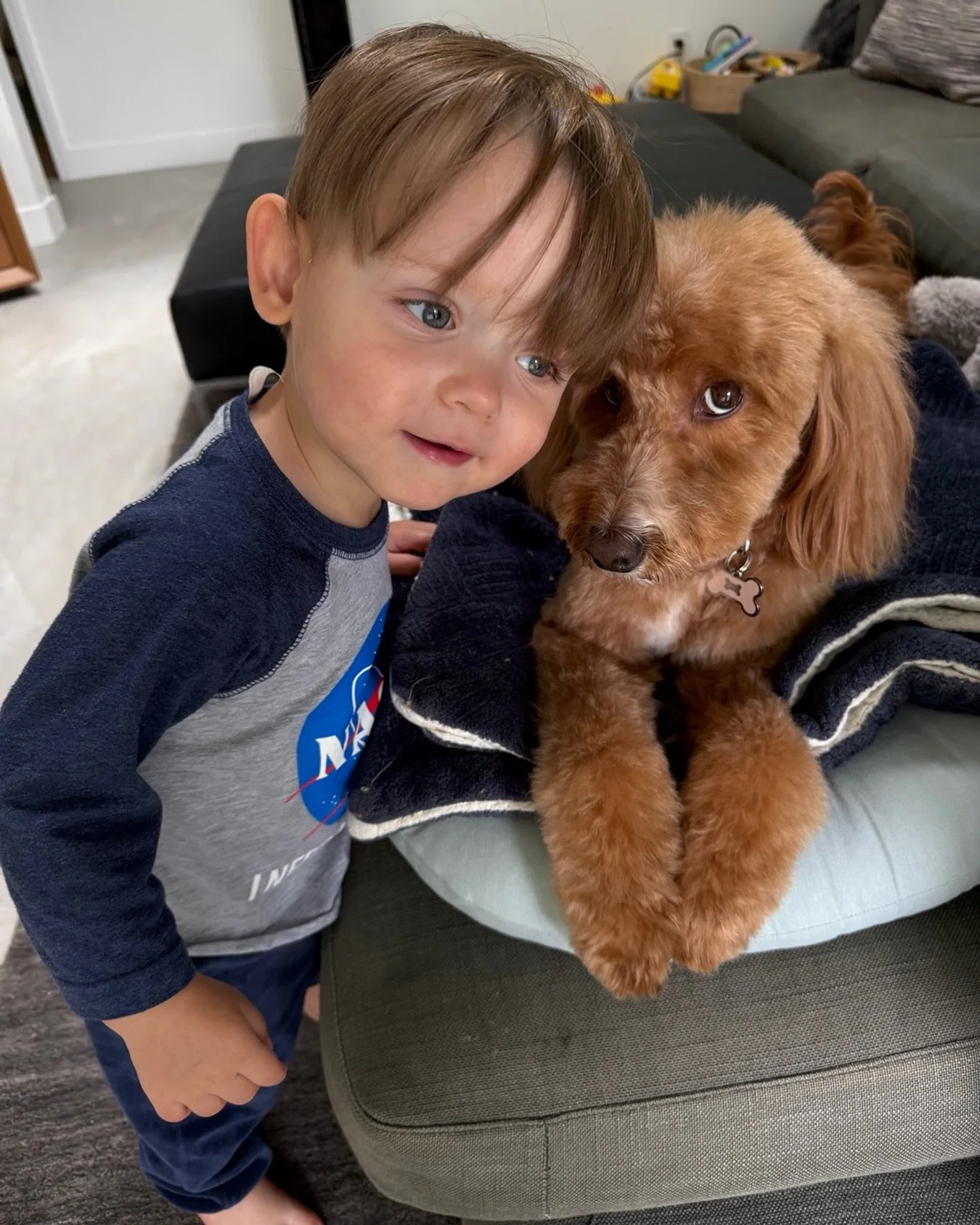 Our home shares a lot of sweet love everyday. It is where the hard work pays off. All the little moments create the big blessed life we get to live.
