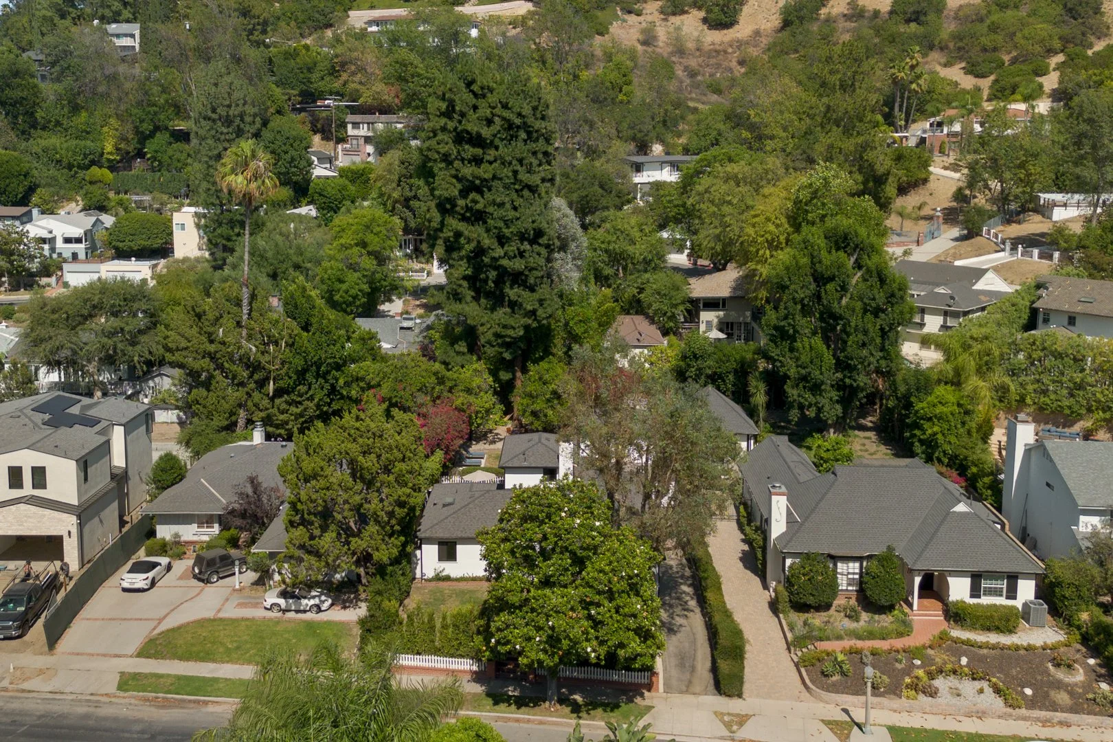 DJI_0835-Edit (1).jpg