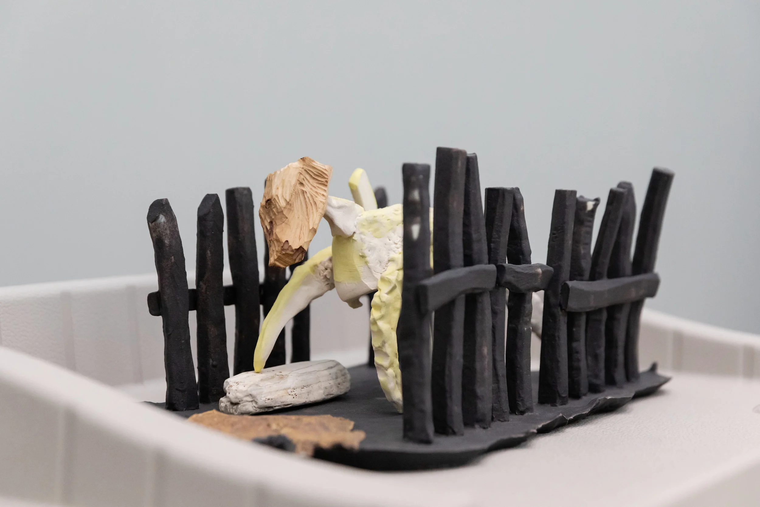 5-Noah Jackson _VAThesis2019_monicafelix.JPG