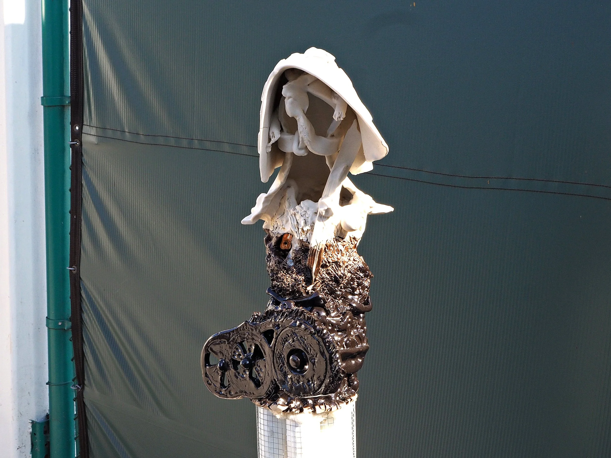 seth_image2.jpg