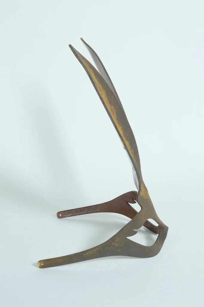 DSCF3571.jpg