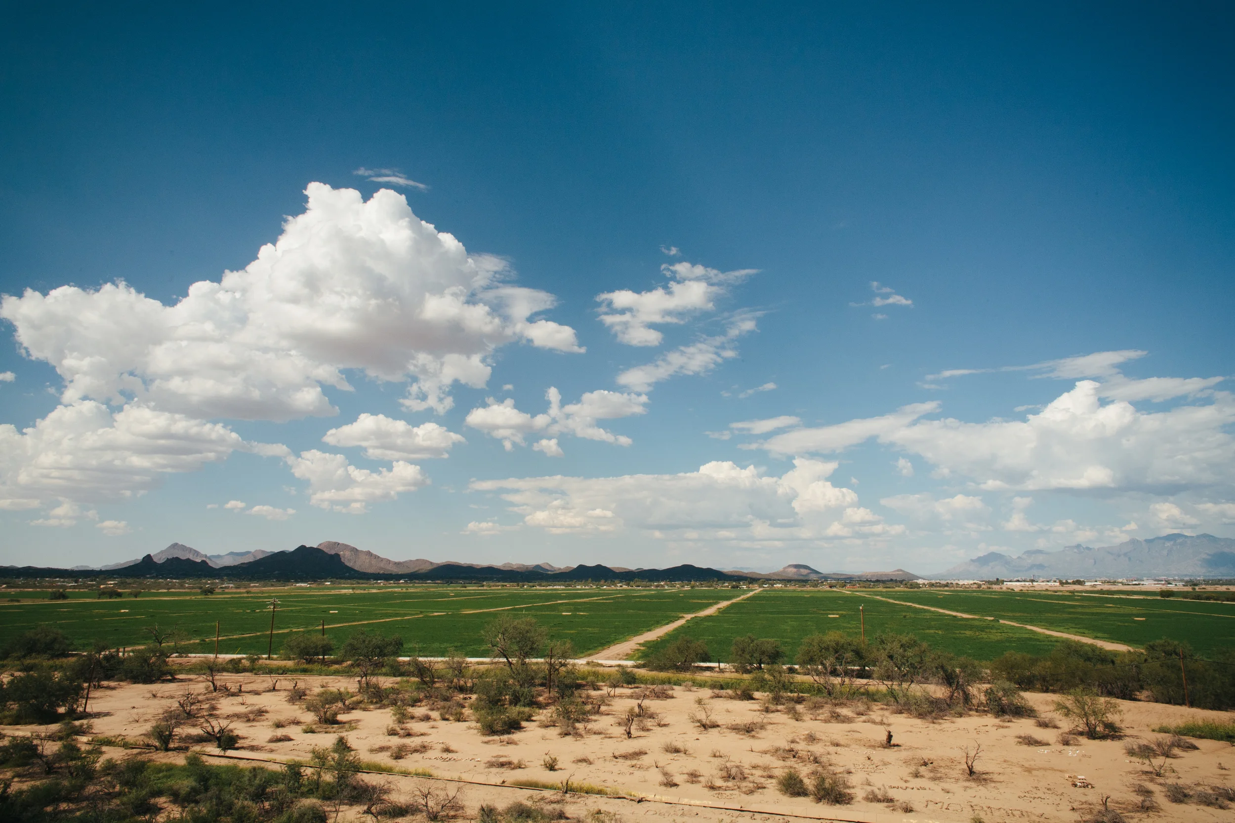 Irrigated fields just north of Mission San Xavier del bac, Tohono O'odham Nation.