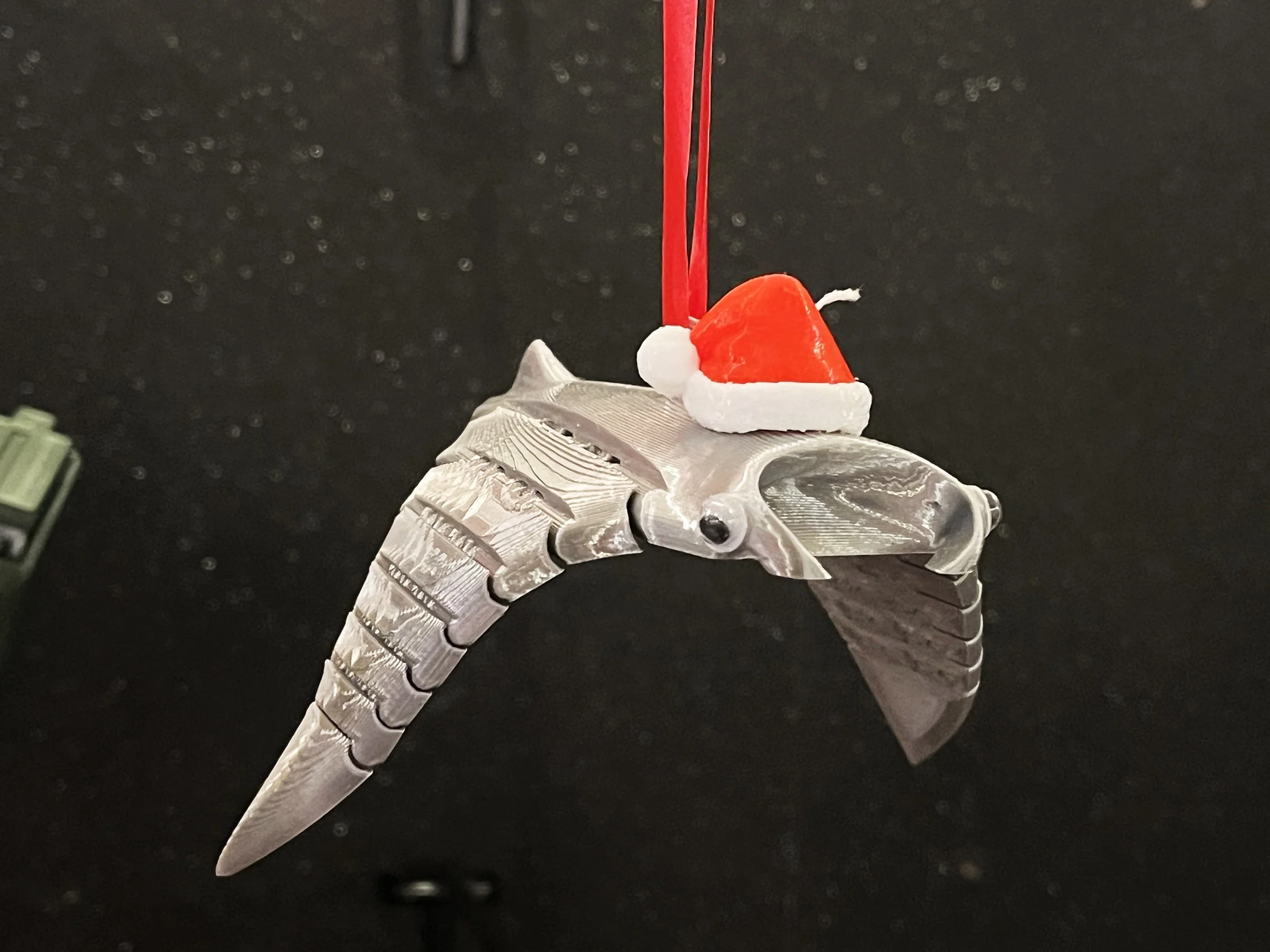 Ornament_SantaRay2.jpg