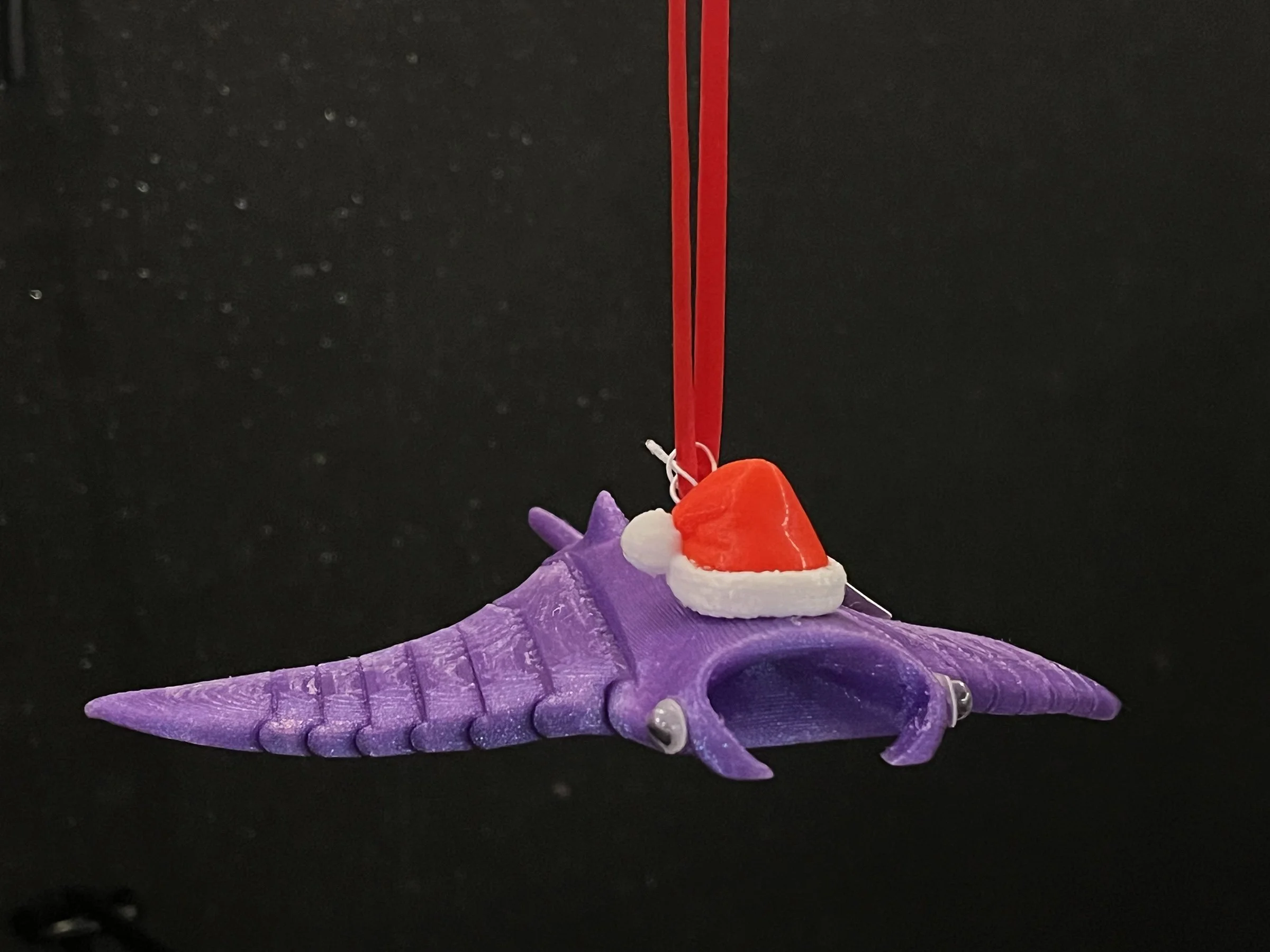 Ornament_SantaRay3.jpg