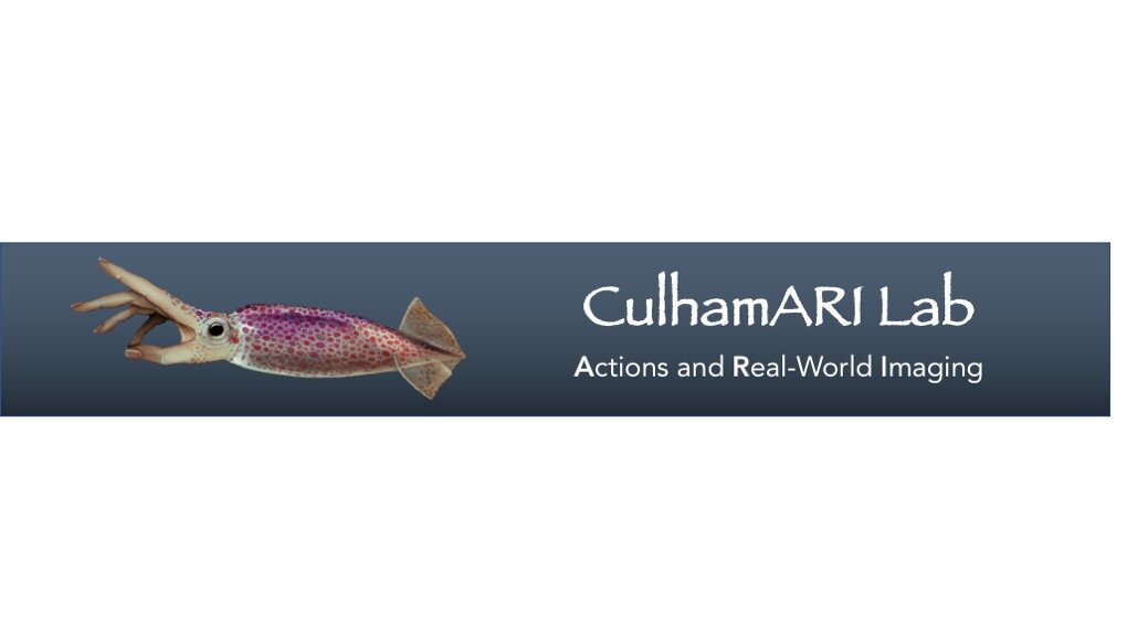 Culham Lab