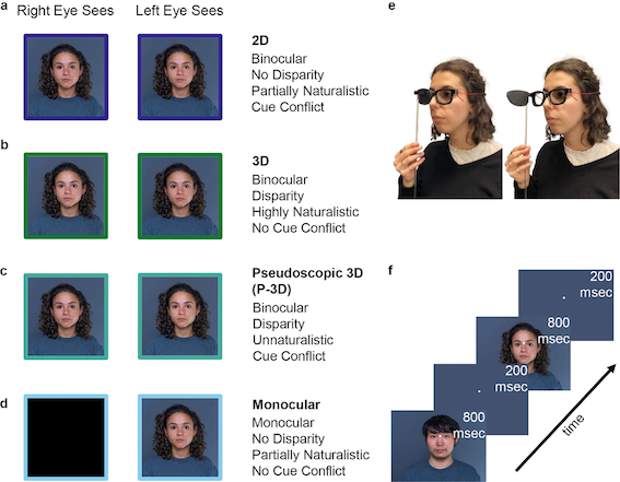 New paper exploring 3D face processing